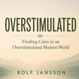 Overstimulated: Finding Calm in an Overstimulated Modern World