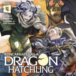 Reincarnated as a Dragon Hatchling (Light Novel) Vol. 4