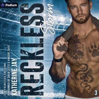 Reckless Storm: San Francisco End Game, Book 3