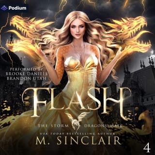 Flash: The Storm Dragons' Mate, Book 4