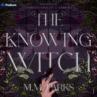 The Knowing Witch: Omnis, Book 1