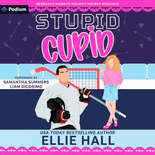 Stupid Cupid: A Nebraska Knights Holiday Hockey Romance