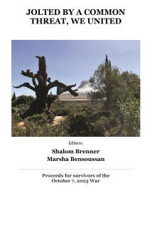 Jolted by a common threat, we united: Proceeds for survivors of October 7 war
