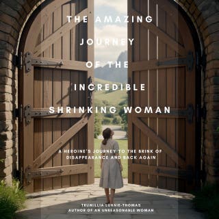 The Amazing Journey of the Incredible Shrinking Woman: A Heroine’s Journey to the Brink of Disappearance and Back Again