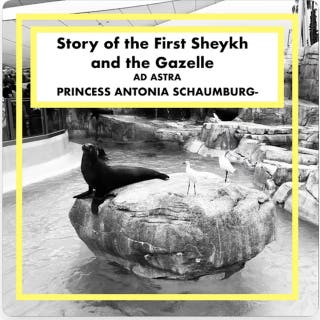 Story of the First Sheykh and the Gazelle: Ad Astra Grand Classics