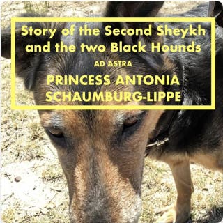 Story of the Second Sheykh and the two Black Hounds: Ad Astra Grand Classics