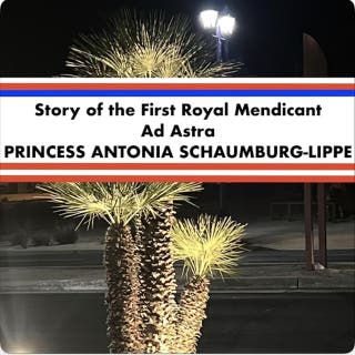 Story of the First Royal Mendicant: Ad Astra Grand Classics