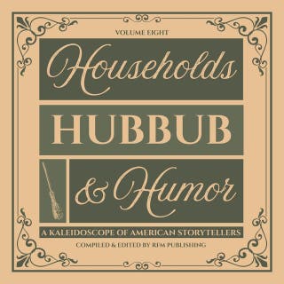 Households, Hubbub, & Humor: Comic Tales of American Domestic Disasters