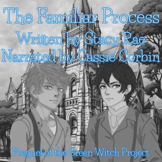 The Familiar Process: Novella to the Green Witch Project Series