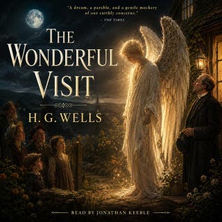 The Wonderful Visit: A celestial being's unexpected arrival in a Victorian village sparks wonder, confusion, and social upheaval.