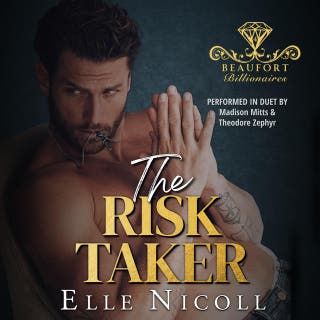 The Risk Taker: A Forced Proximity Billionaire Romance