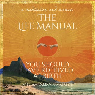 A Meditation and Memoir: The Life Manual You Should Have Received At Birth