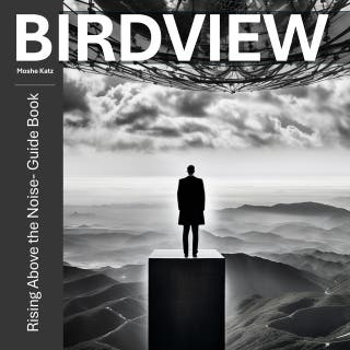 Birdview: Rising Above the Noise- Guide Book