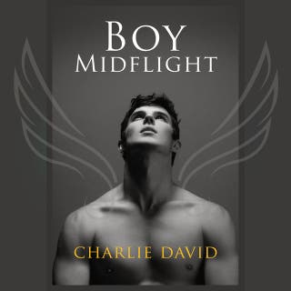 Boy Midflight: Coming of Age College Gay Romance