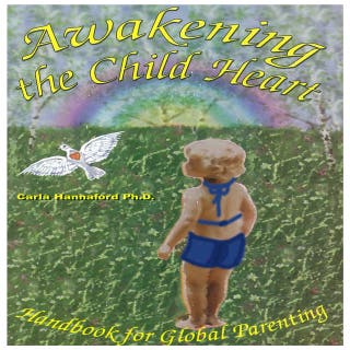 Awakening The Child Heart