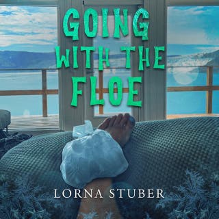 Going with the Floe: Sights, Scares , and Silliness in Iceland and Greenland