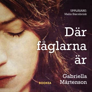 Där fåglarna är