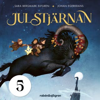 Julstjärnan – Lucka 5