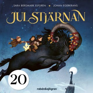 Julstjärnan – Lucka 20