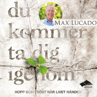 Du kommer ta dig igenom