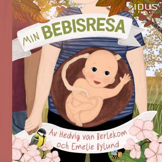 Min bebisresa