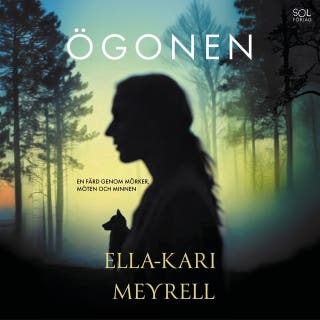 Ögonen