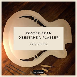 Röster från obestämda platser