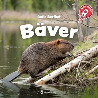 Faktaraketen - Bäver