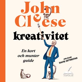 Kreativitet : En kort och munter guide