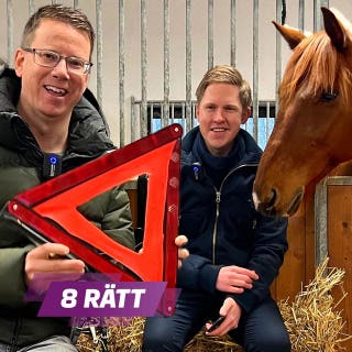 Onsdag 25 mars: Solvalla/Jägersro V86