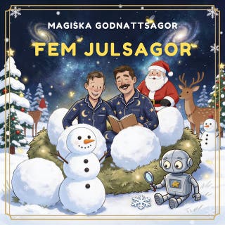 Fem julsagor