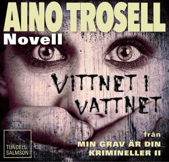 Vittnet i vattnet, novell ur Krimineller II