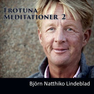 Frötuna Meditationer 2