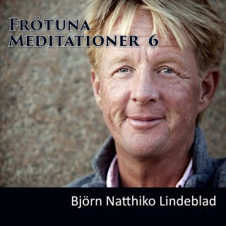 Frötuna Meditationer 6