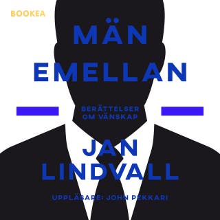 Män emellan : berättelser om vänskap