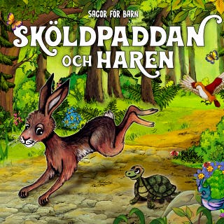 Sagor för Barn: Sköldpaddan och haren