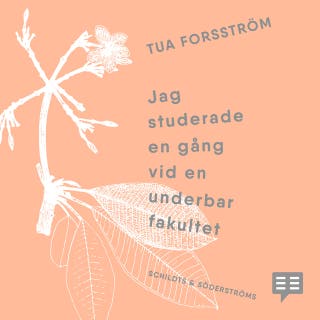 Jag studerade en gång vid en underbar fakultet