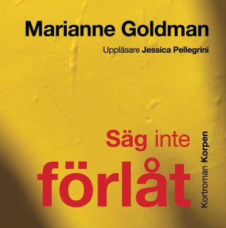 Säg inte förlåt : Kortroman