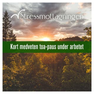 Kort medveten toa-paus under arbetet