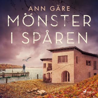 Mönster i spåren