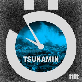 Tsunamin i svenskparadiset