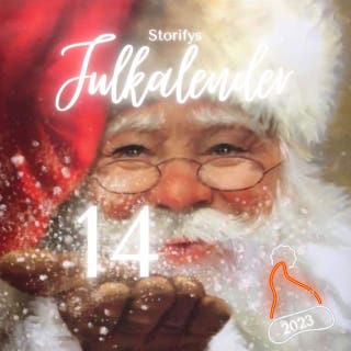 Storifys julkalender 14 december