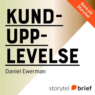 Kundupplevelse – Varför vissa organisationer lyckas… och andra inte