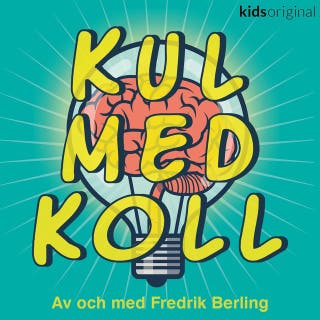 Kul med koll - Skateboard