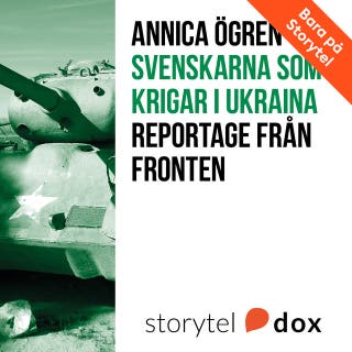 Svenskarna som krigar i Ukraina