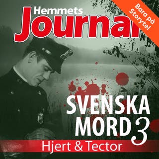 Svenska mord 3