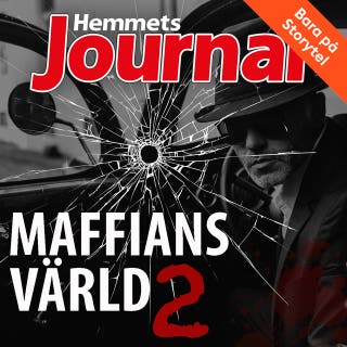 Maffians värld 2
