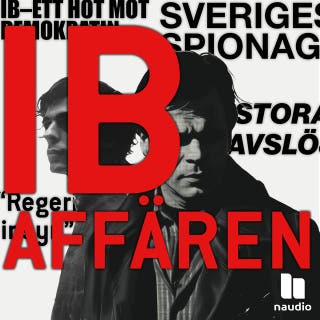 Gryningsräder i folkhemmet