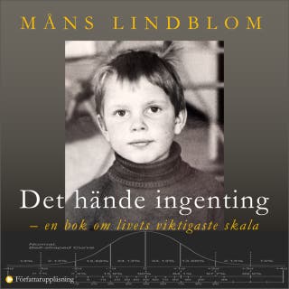 Det hände ingenting: - en bok om livets viktigaste skala
