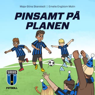 Pinsamt på planen